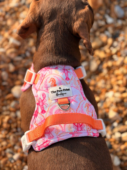 Under the Sea Paws Harness