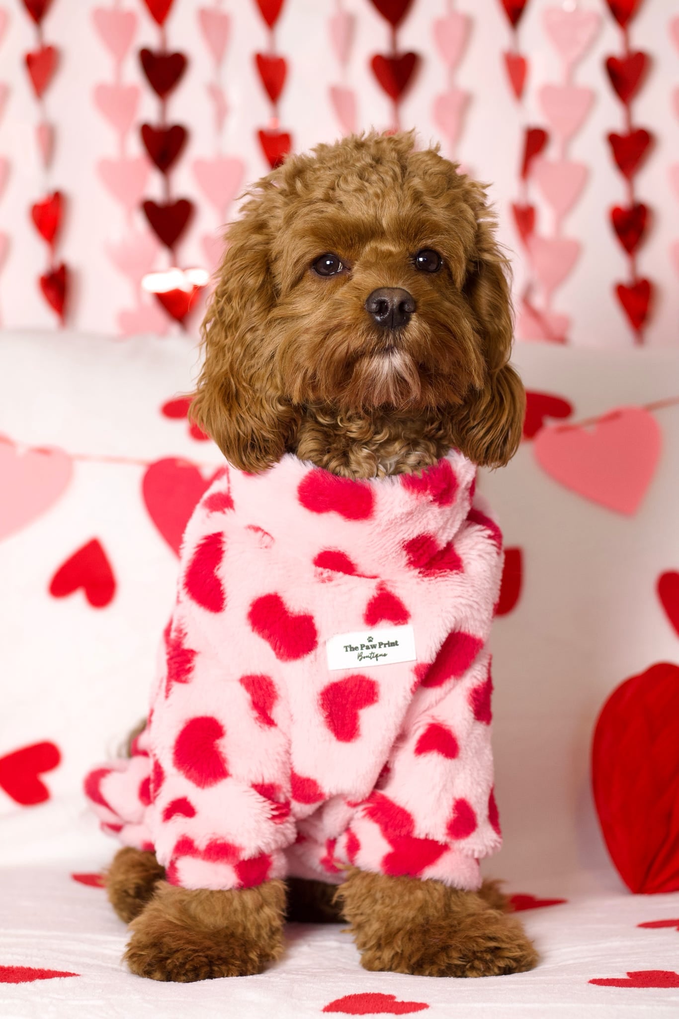 The Love Hearts Fluffy & Fabulous Fleece