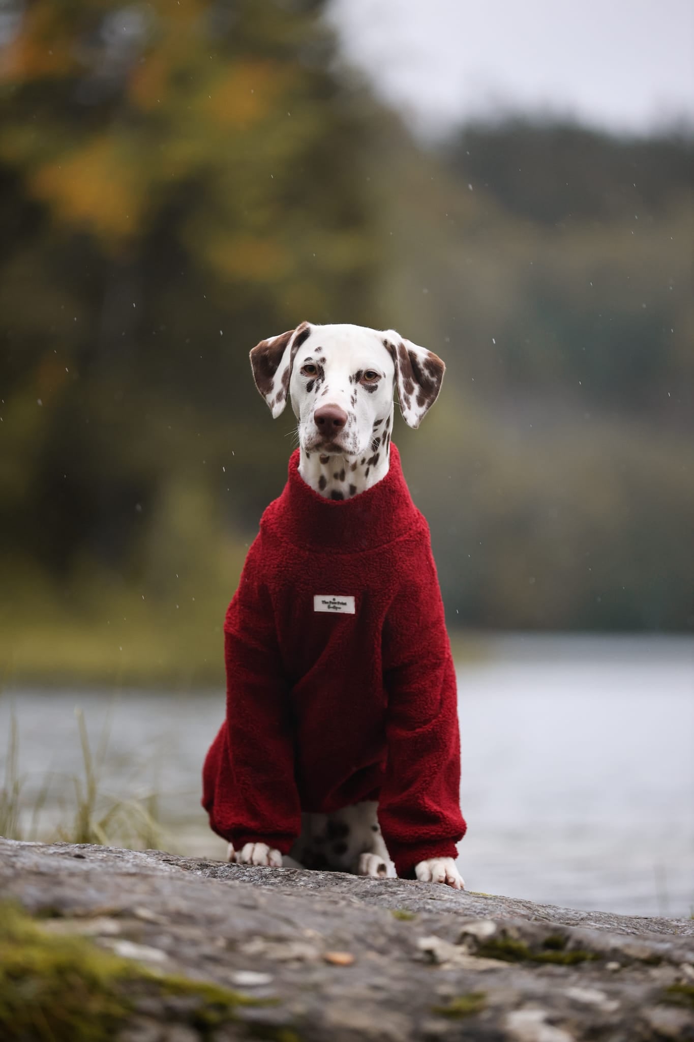 The Mulberry Teddy Fleece