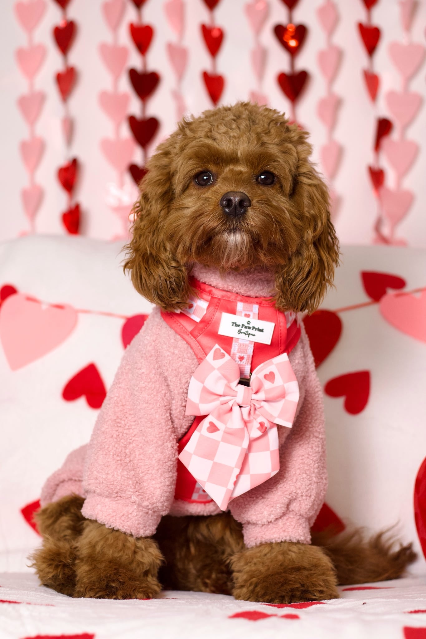 The Fur-ever Love Bow Tie