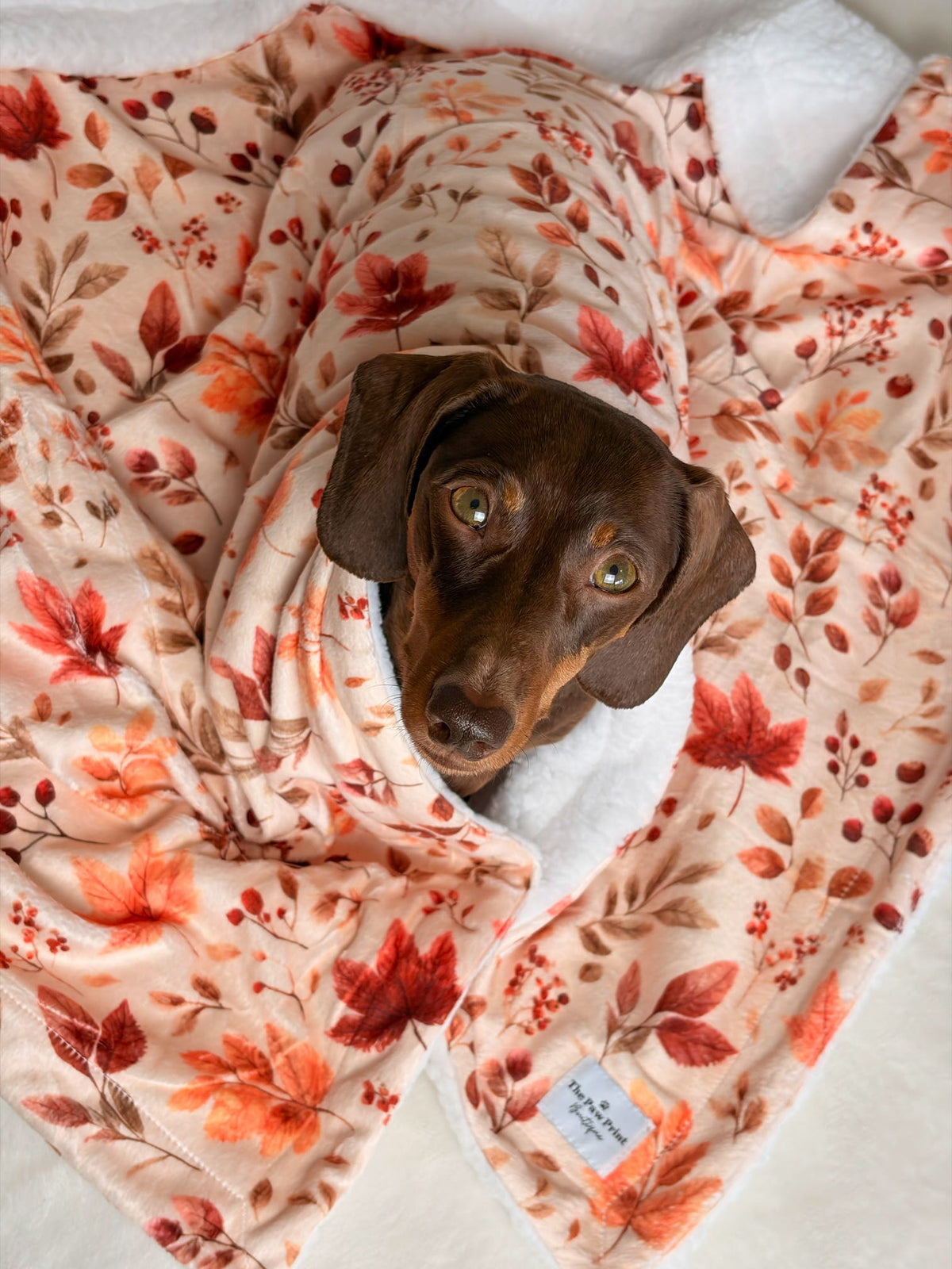 Maple Meadows Dog Blanket