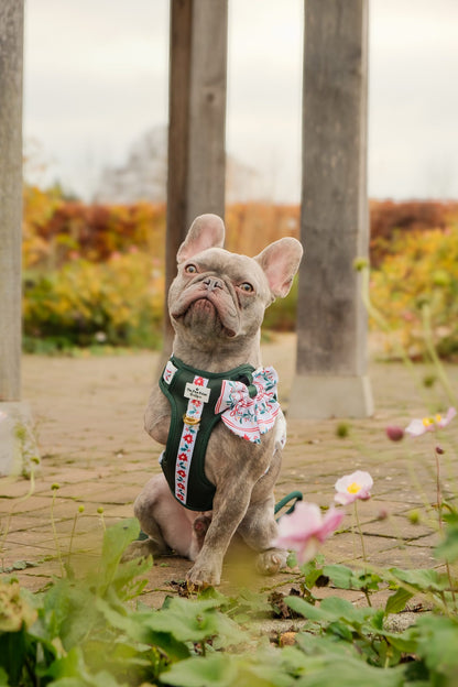 Festive Traditions Adventure Paws Harness