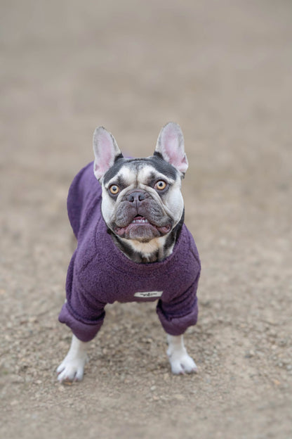 The Plum Teddy Fleece