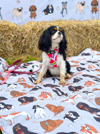 The Cavalier Picnic Mat