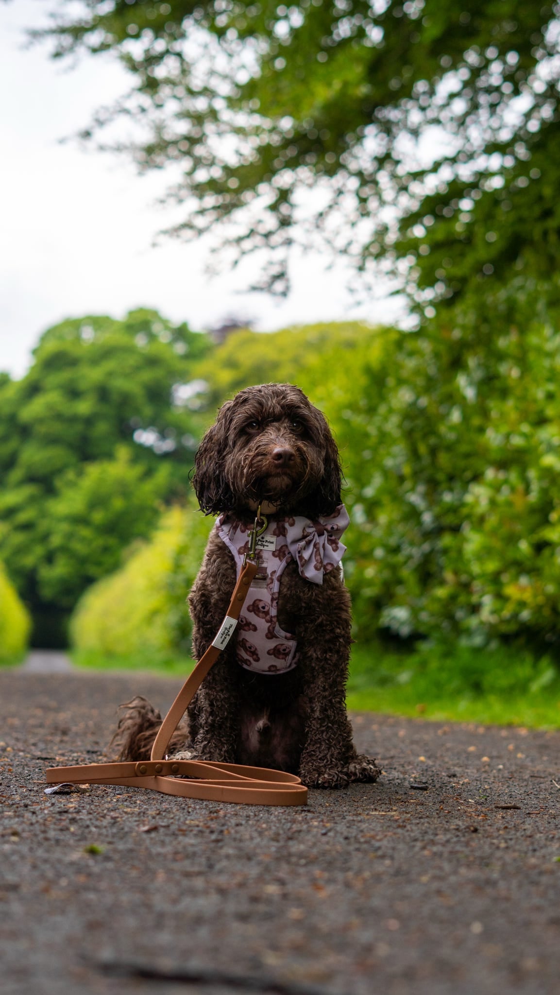 Waterproof Lead - Brownie