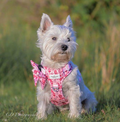 The Giddy up Pup Adventure Paws Harness