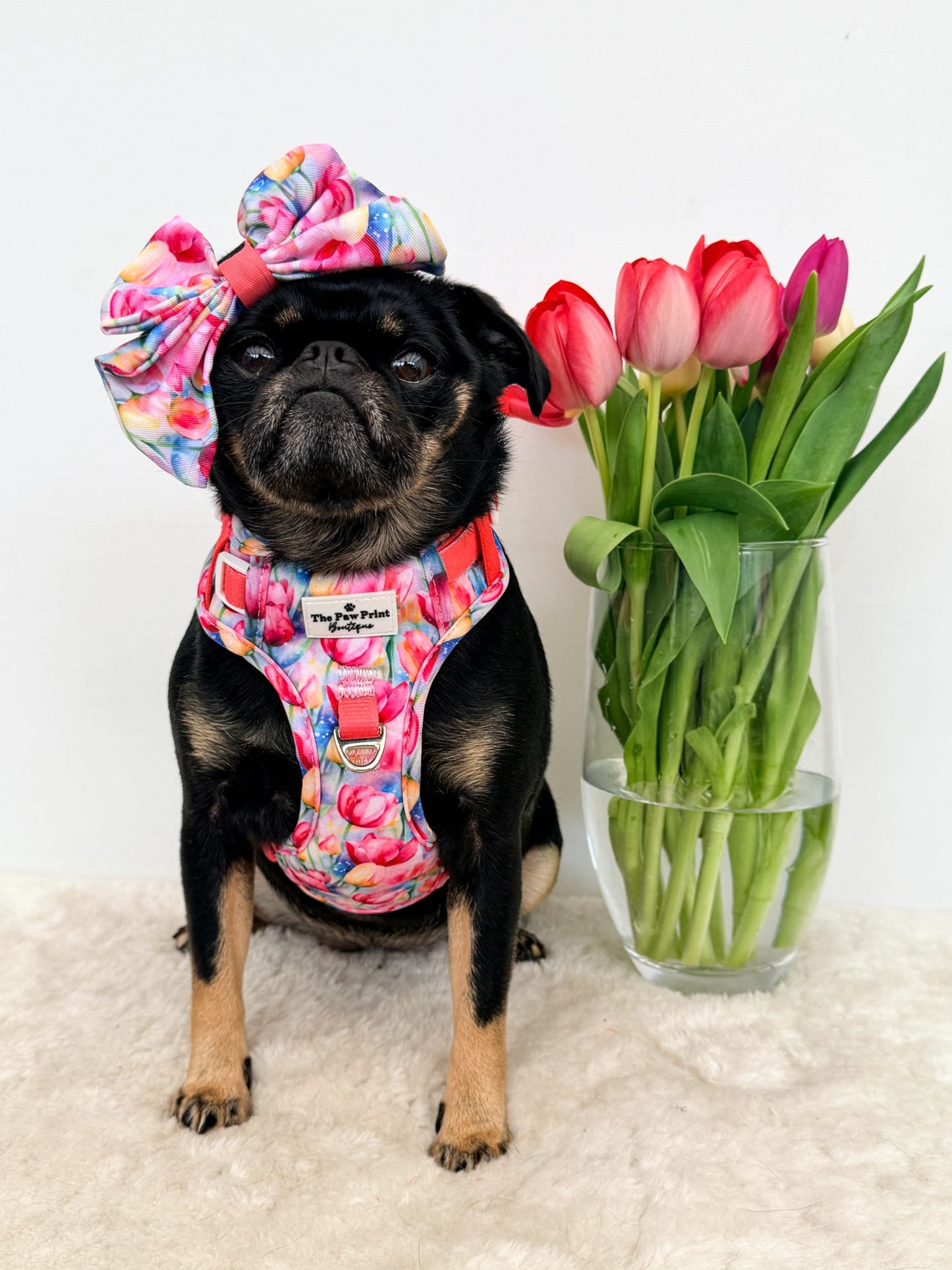 The Tulip Field Bow Tie