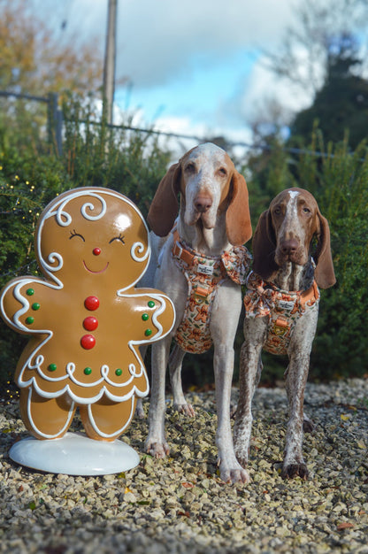 Gingerbread Grove Adventure Paws Harness