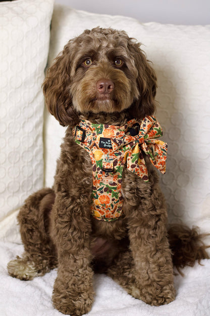 The Winter Scents Adventure Paws Harness