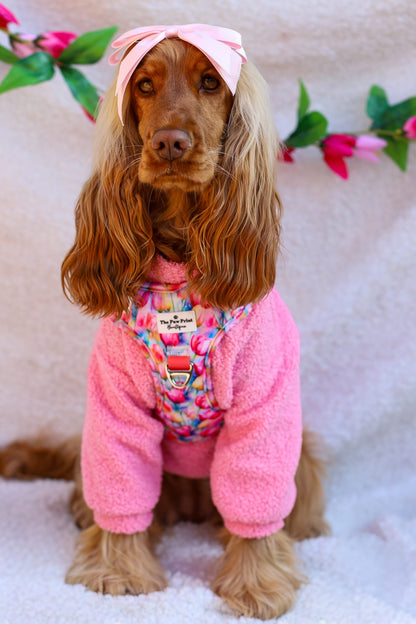 The Tulip Field Adventure Paws Harness