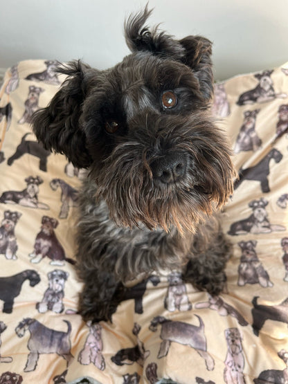 Schnauzer Dog Blanket