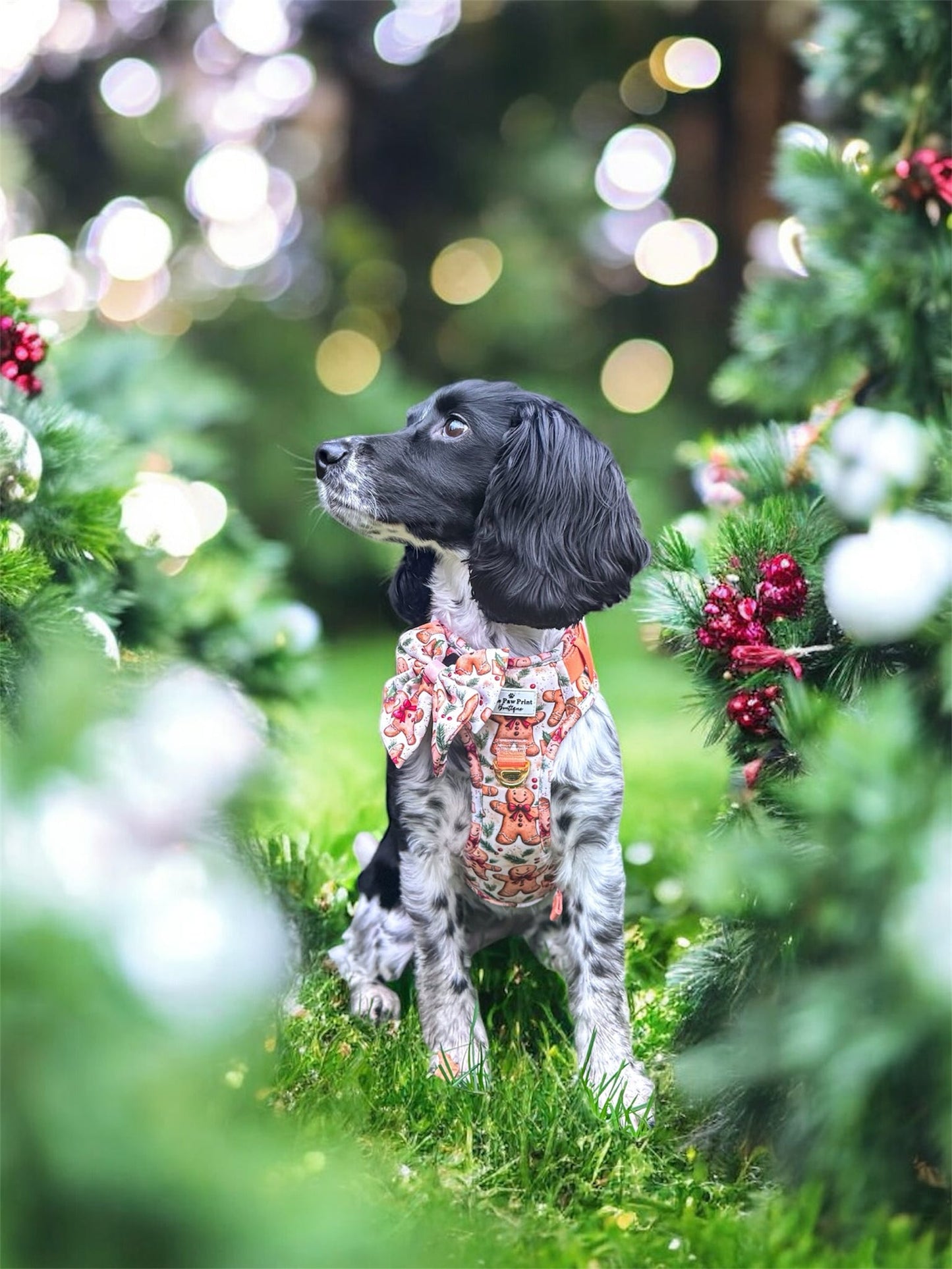 Gingerbread Grove Adventure Paws Harness