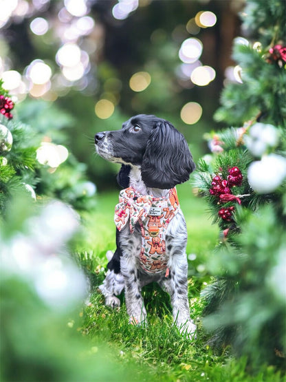 Gingerbread Grove Adventure Paws Harness