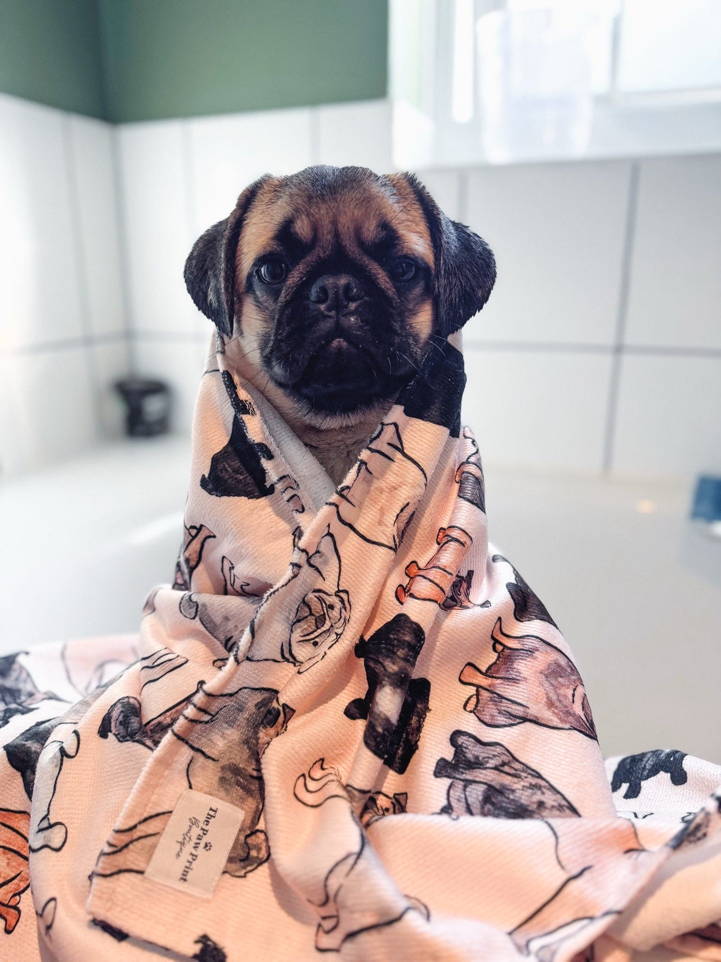 The Pug Dog Towel