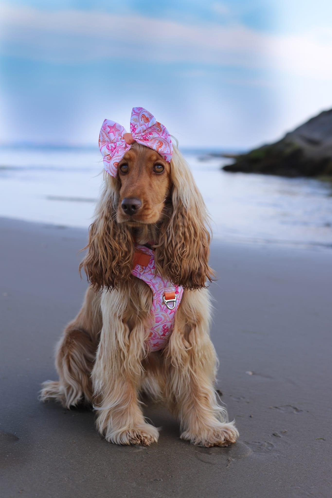 Under the Sea Paws Harness