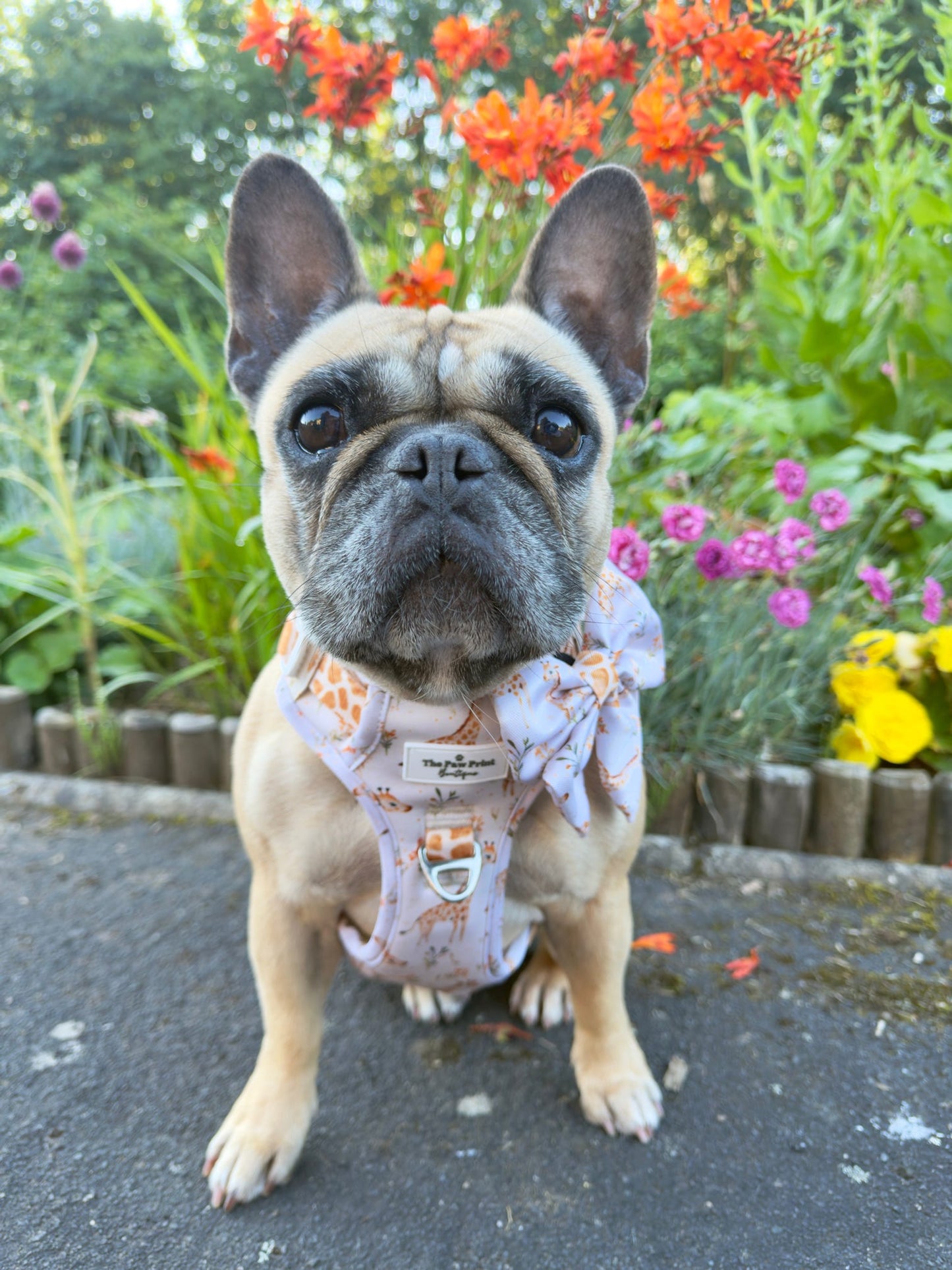 The Graceful Giraffe Bow Tie