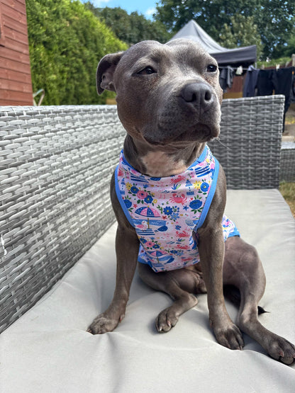 Santorini Seagulls Cooling Vest