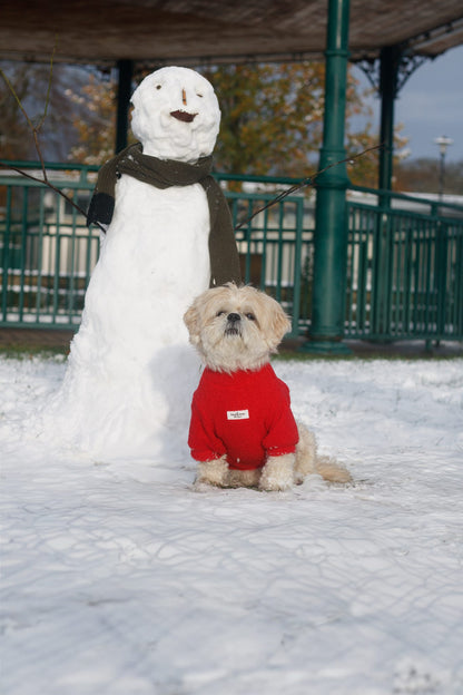 Teddy Fleece - Red Berry
