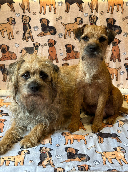 The Border Terrier Dog Blanket - Beige