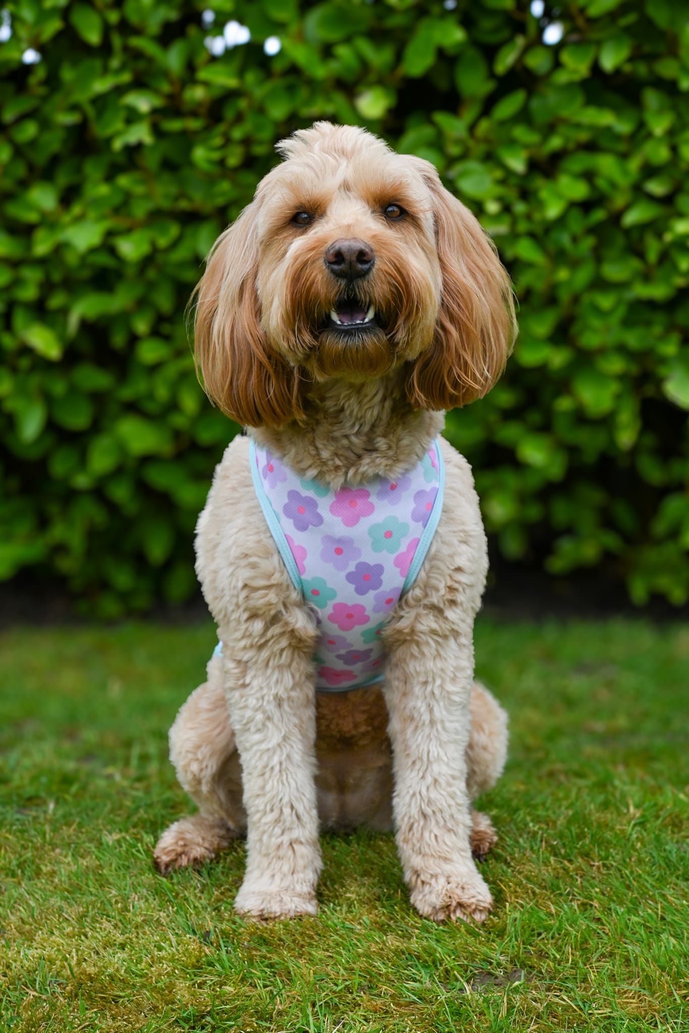 The Minty Meadows / Flower Power Cooling Vest