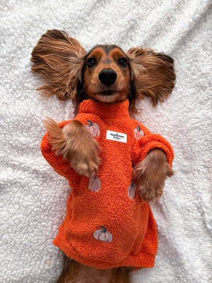 The Embroidered Pumpkins Teddy Fleece