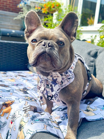 The French Bulldog Adventure Paws Harness