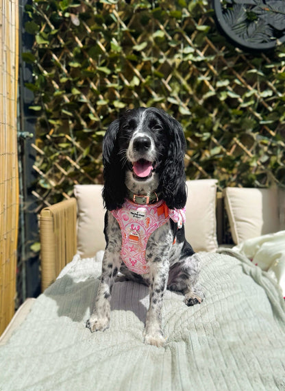 Under the Sea Paws Harness