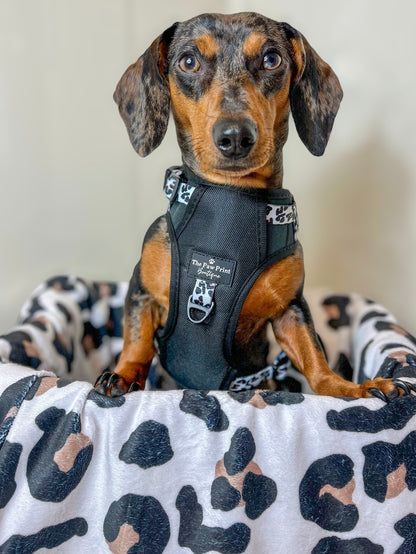 The Lavish Leopard Adventure Paws Harness