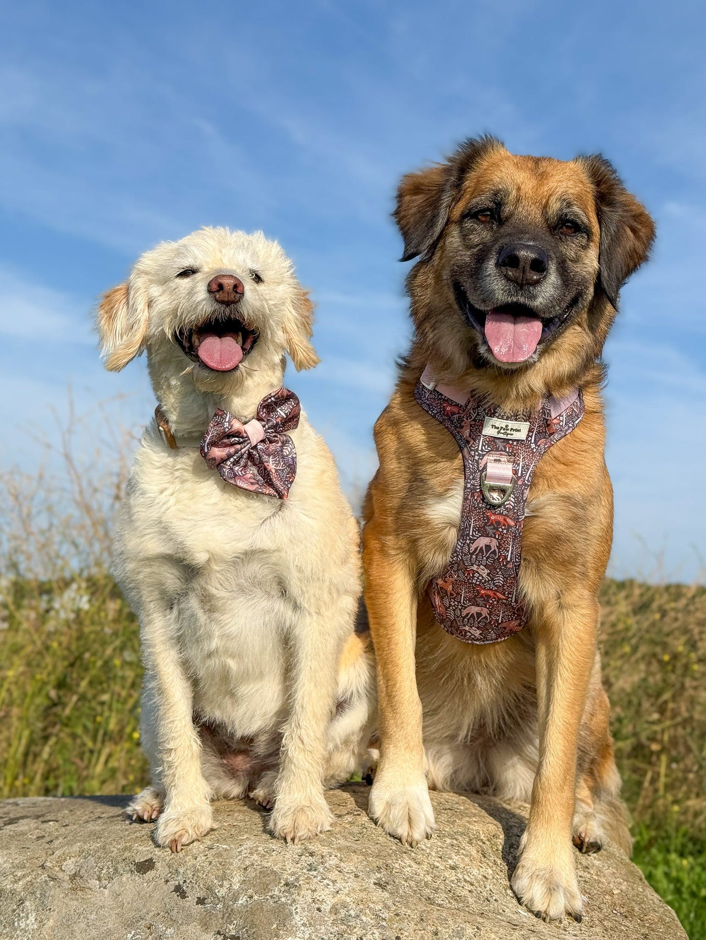 Woodland Wilderness Adventure Paws Harness