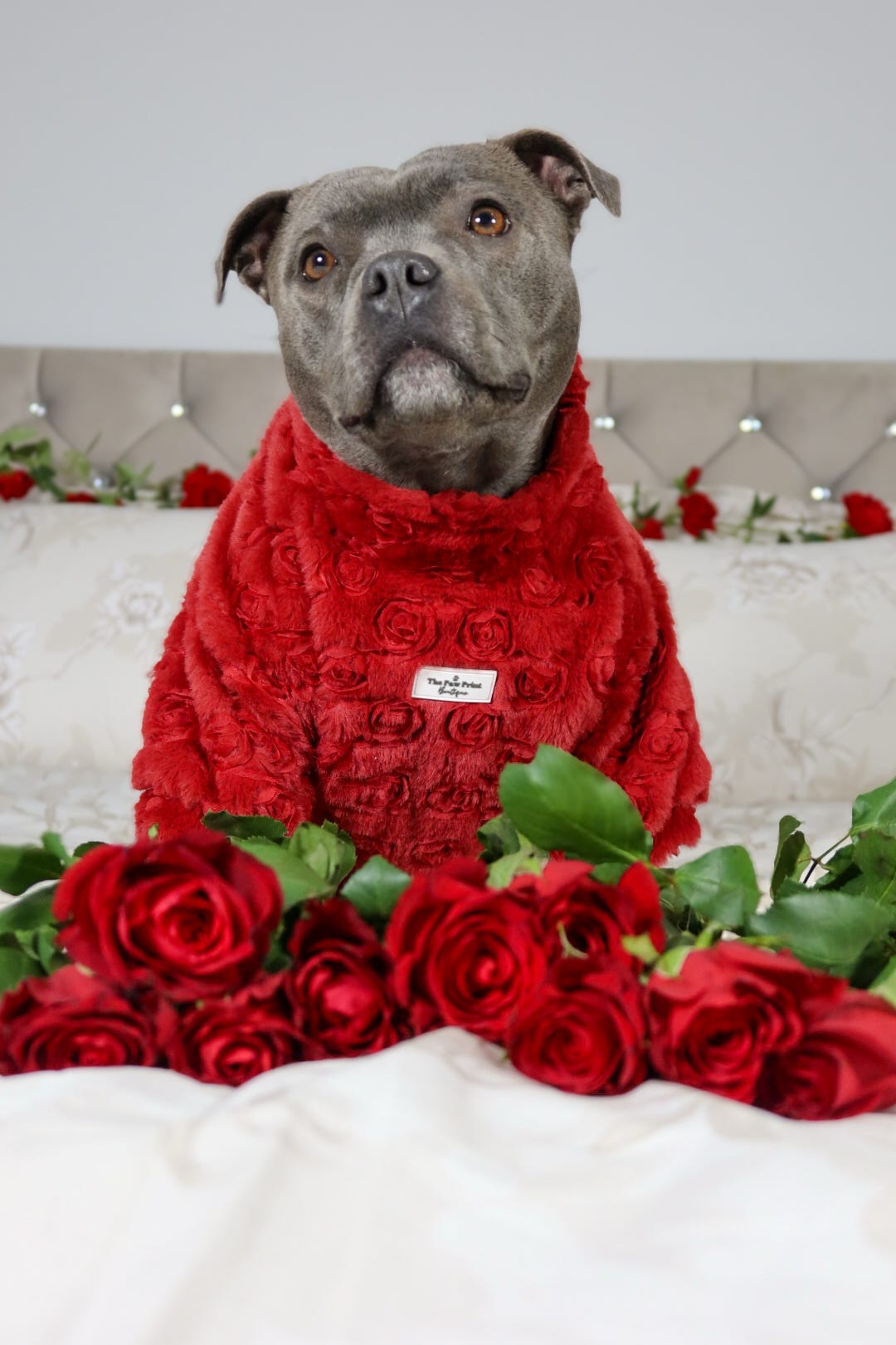 The Roses Fleece - Red