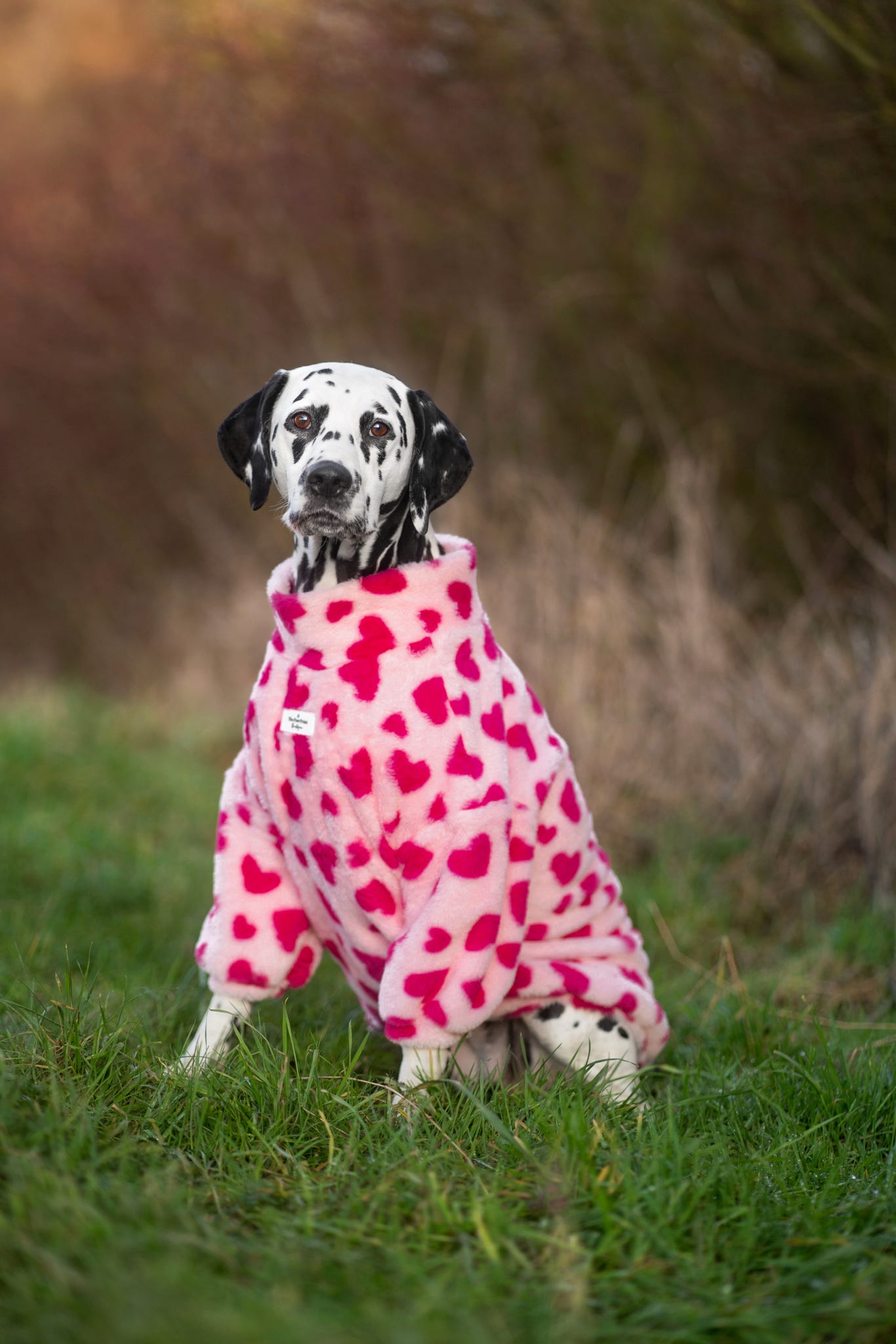 The Love Hearts Fluffy & Fabulous Fleece