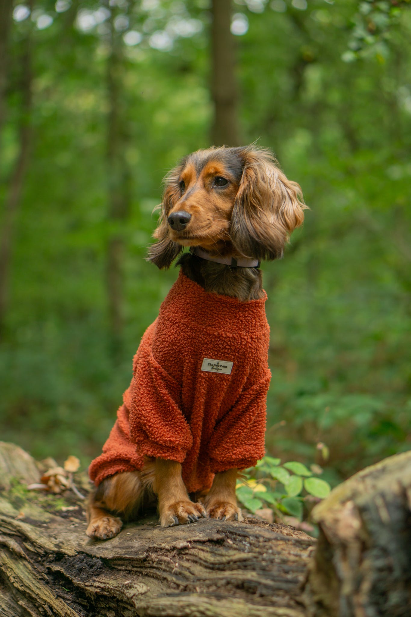 Teddy Fleece - Burnt Orange