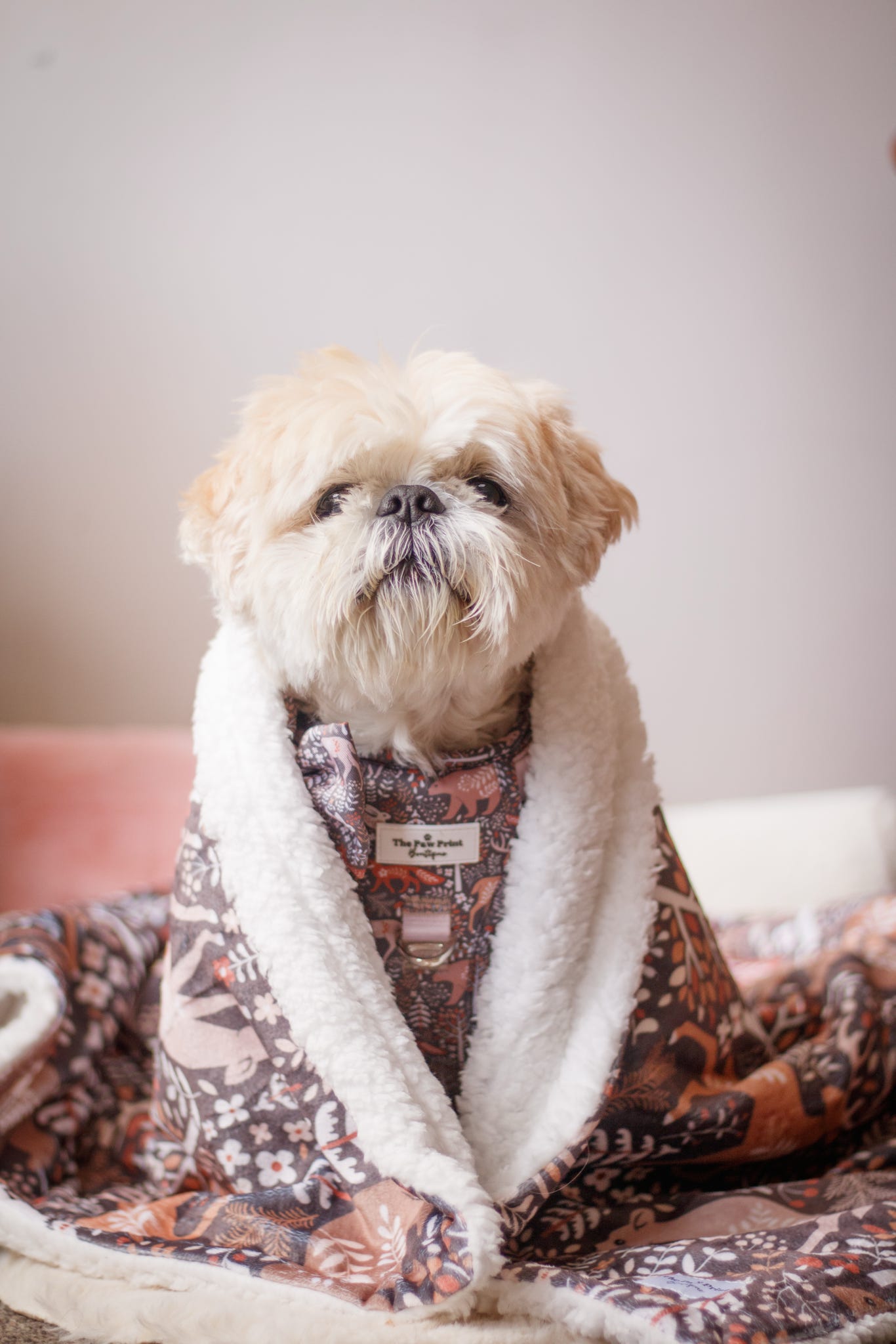 Woodland Wilderness Dog Blanket