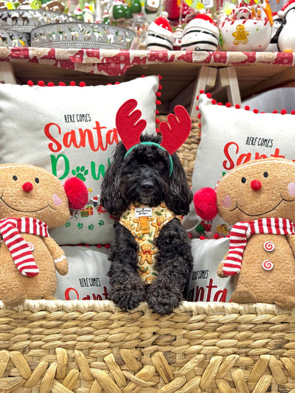 Gingerbread Grove Adventure Paws Harness