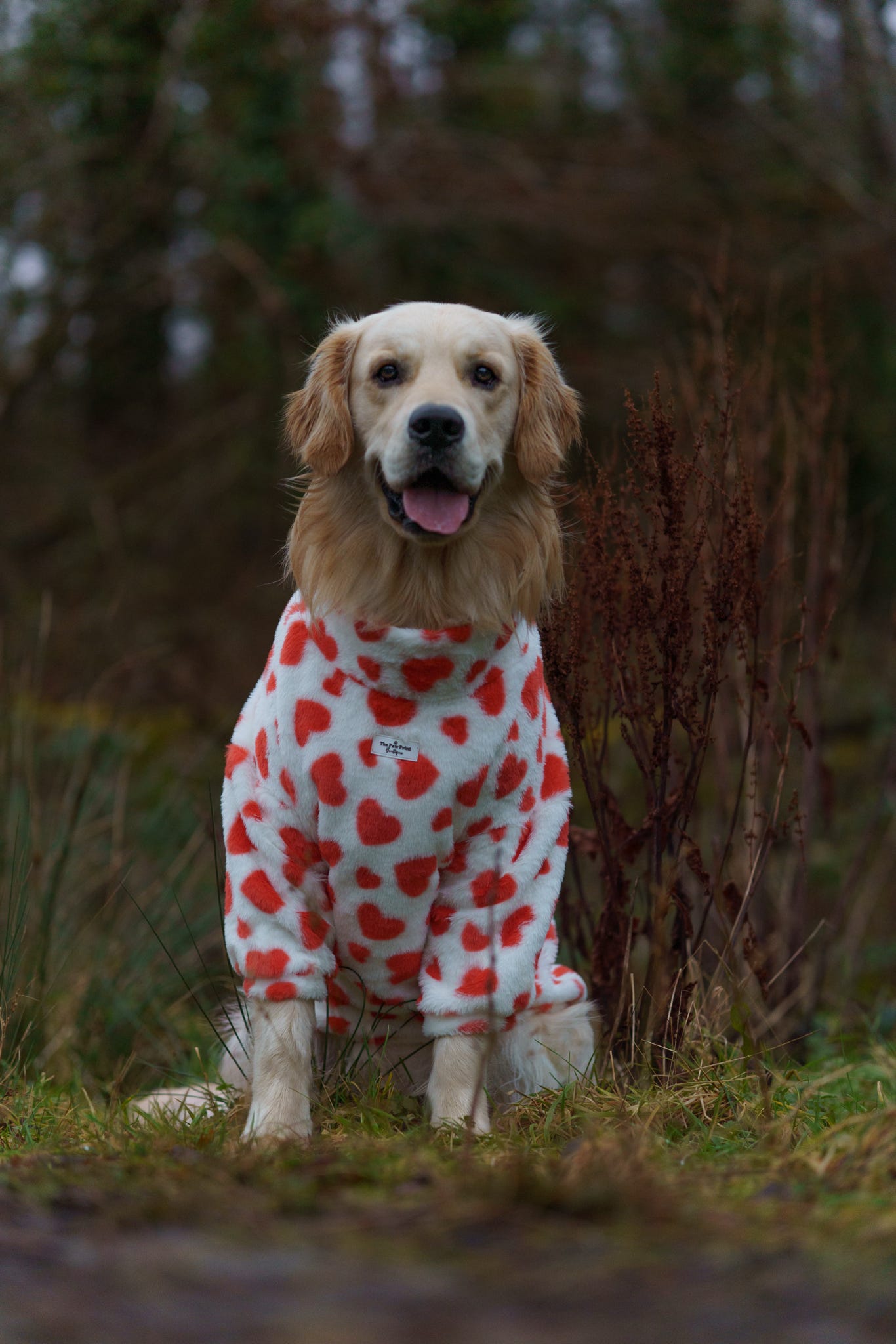 The Love Hearts Fluffy & Fabulous Fleece - Red & White