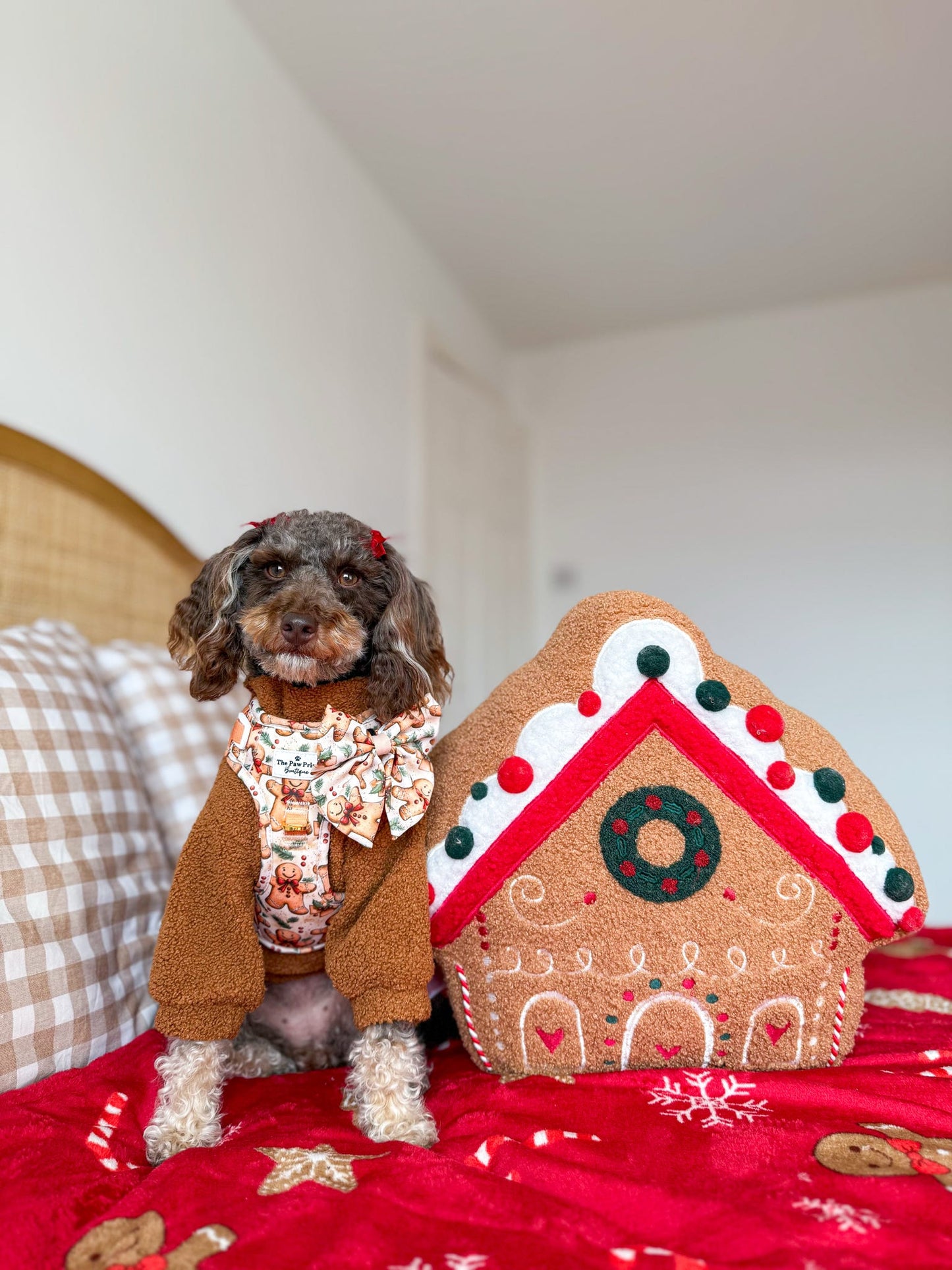 Gingerbread Grove Adventure Paws Harness