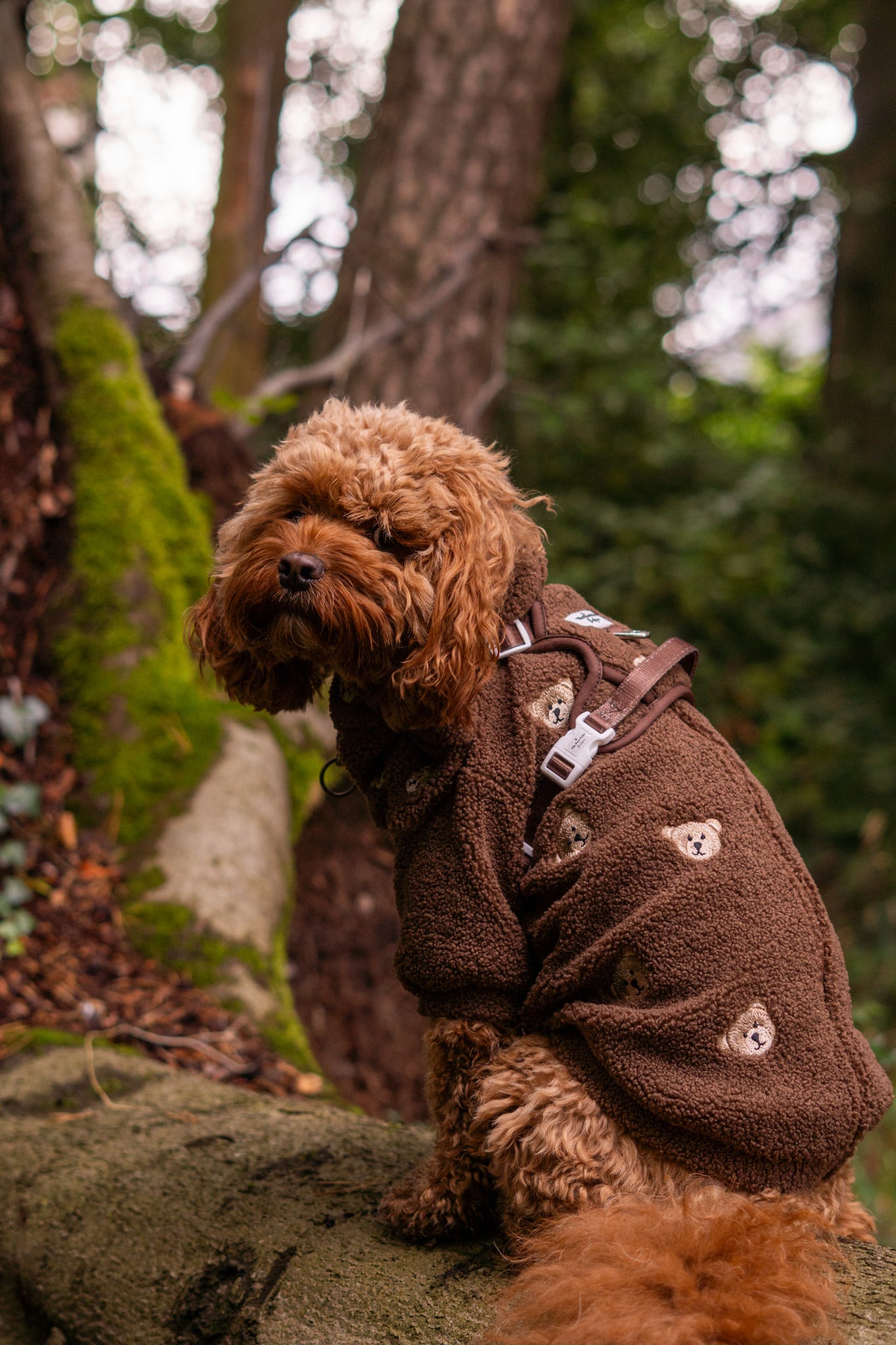 The Embroidered Little Bear Cub Teddy Fleece