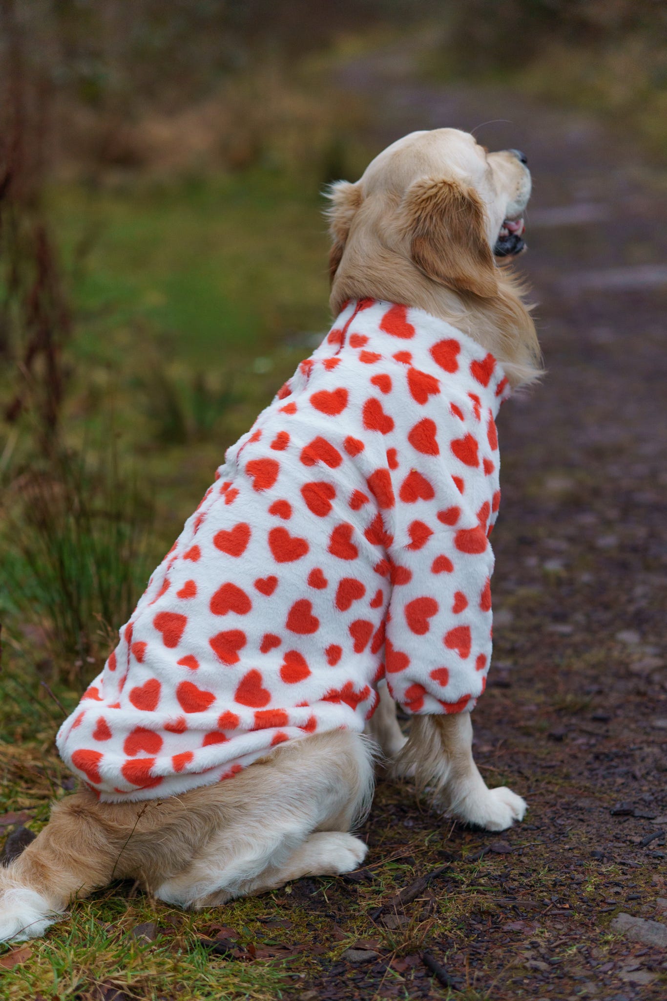 The Love Hearts Fluffy & Fabulous Fleece - Red & White