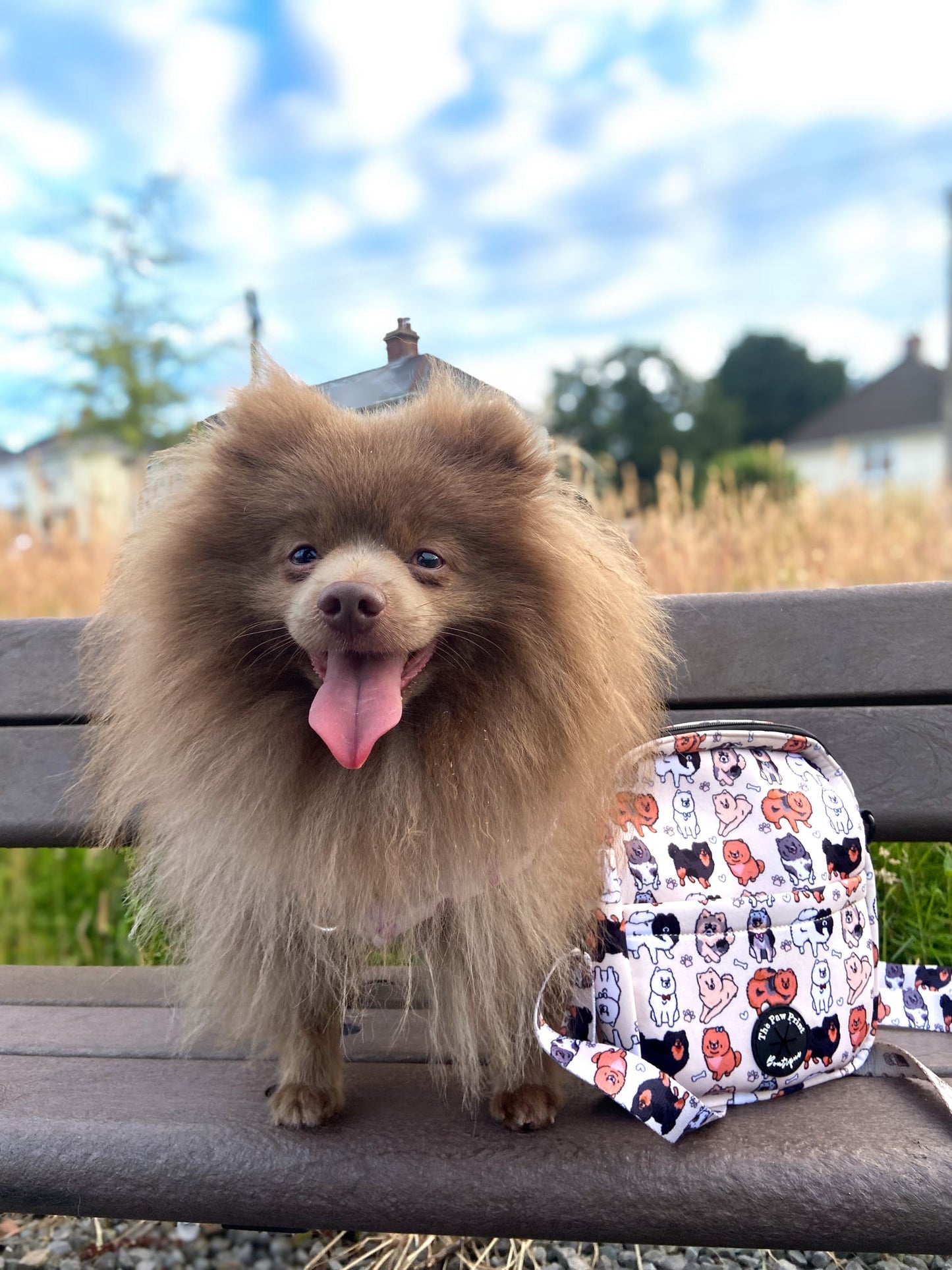 The Pomeranian Dog Walking Bag