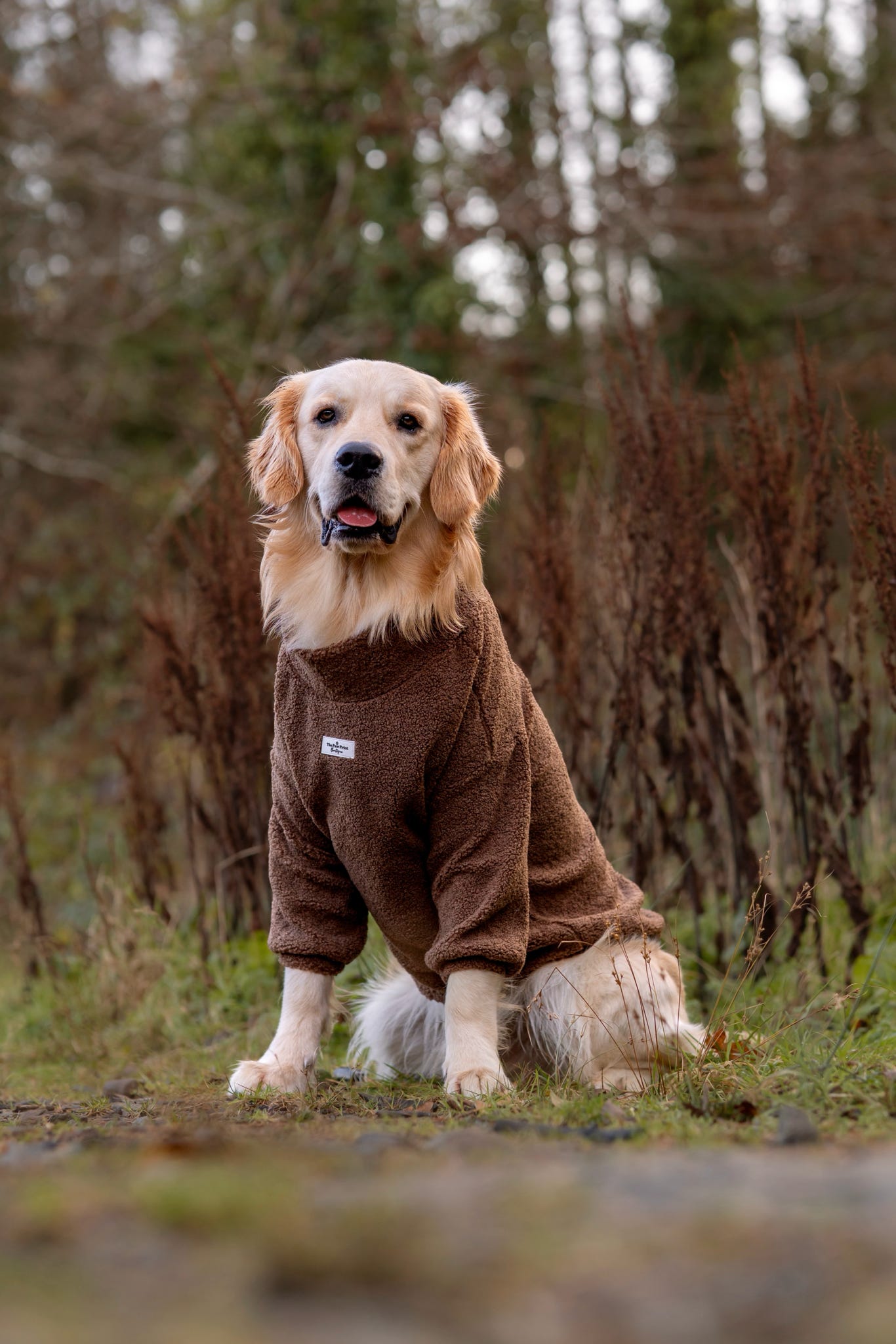 Teddy Fleece - Brownie