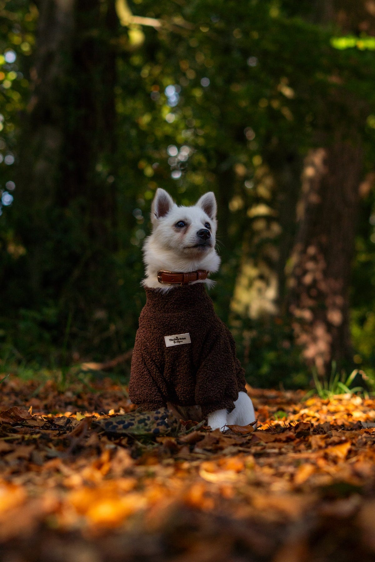 Teddy Fleece - Chocolate