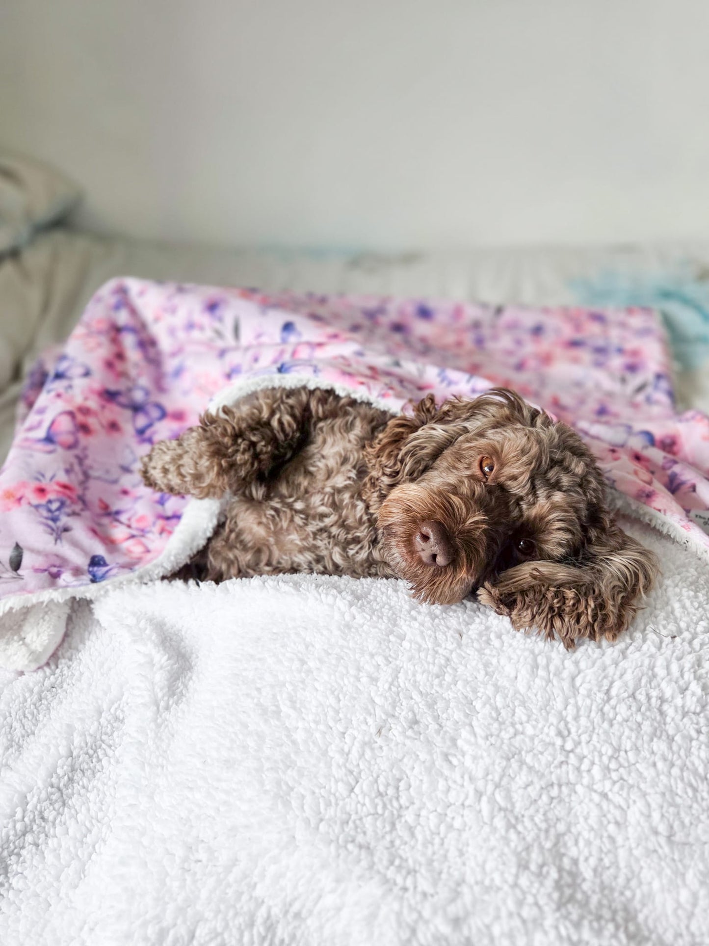 Butterfly Bliss Dog Blanket