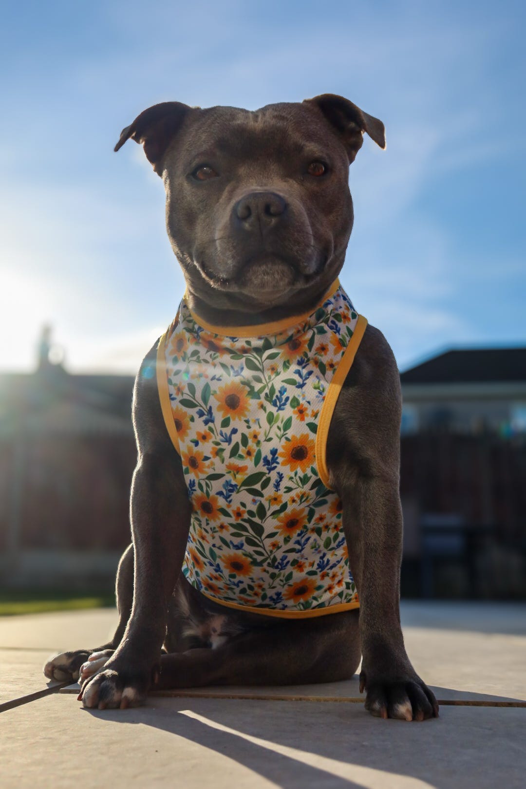 Sunny Sunflowers Cooling Vest