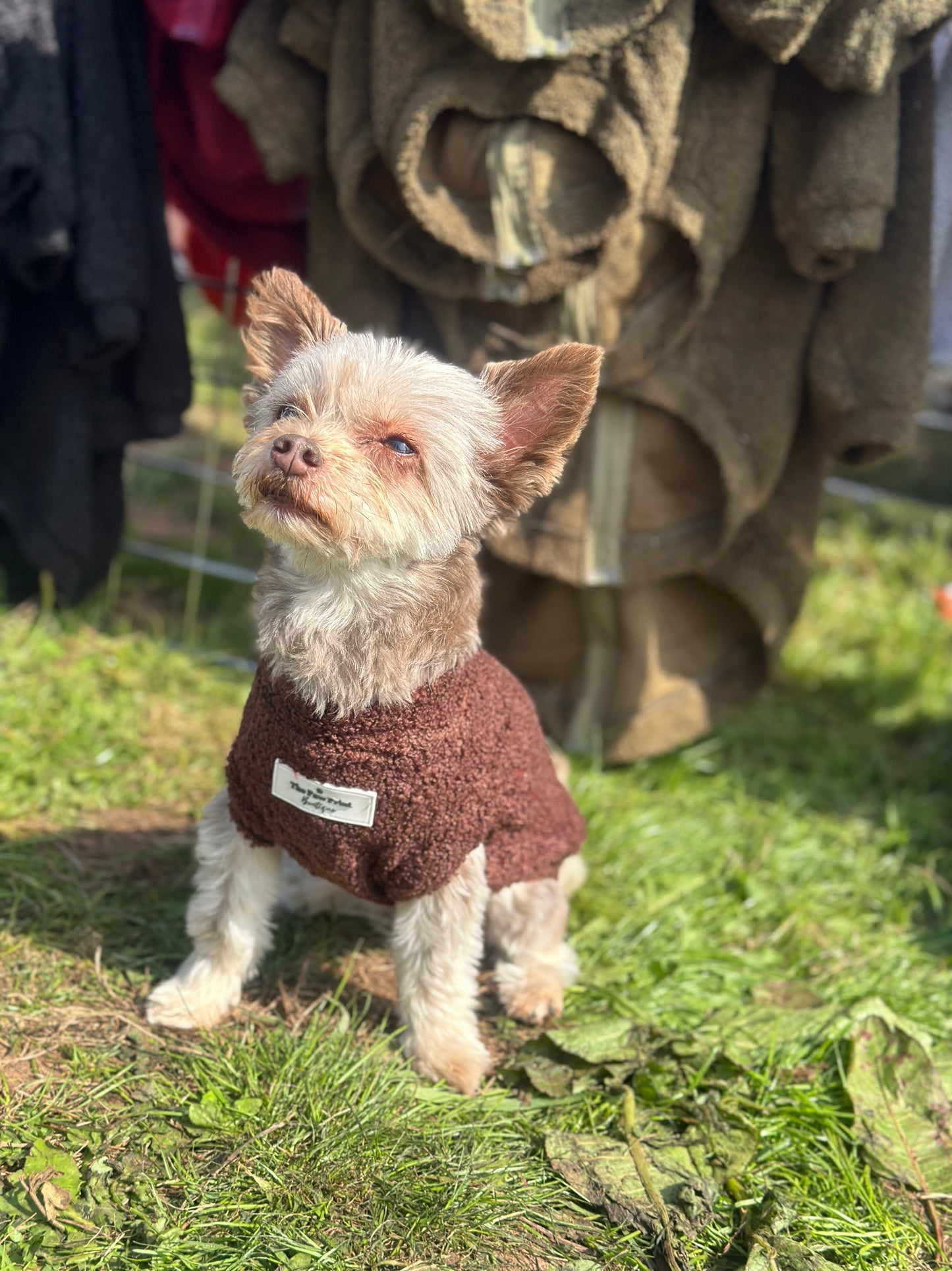 The Chocolate Teddy Fleece