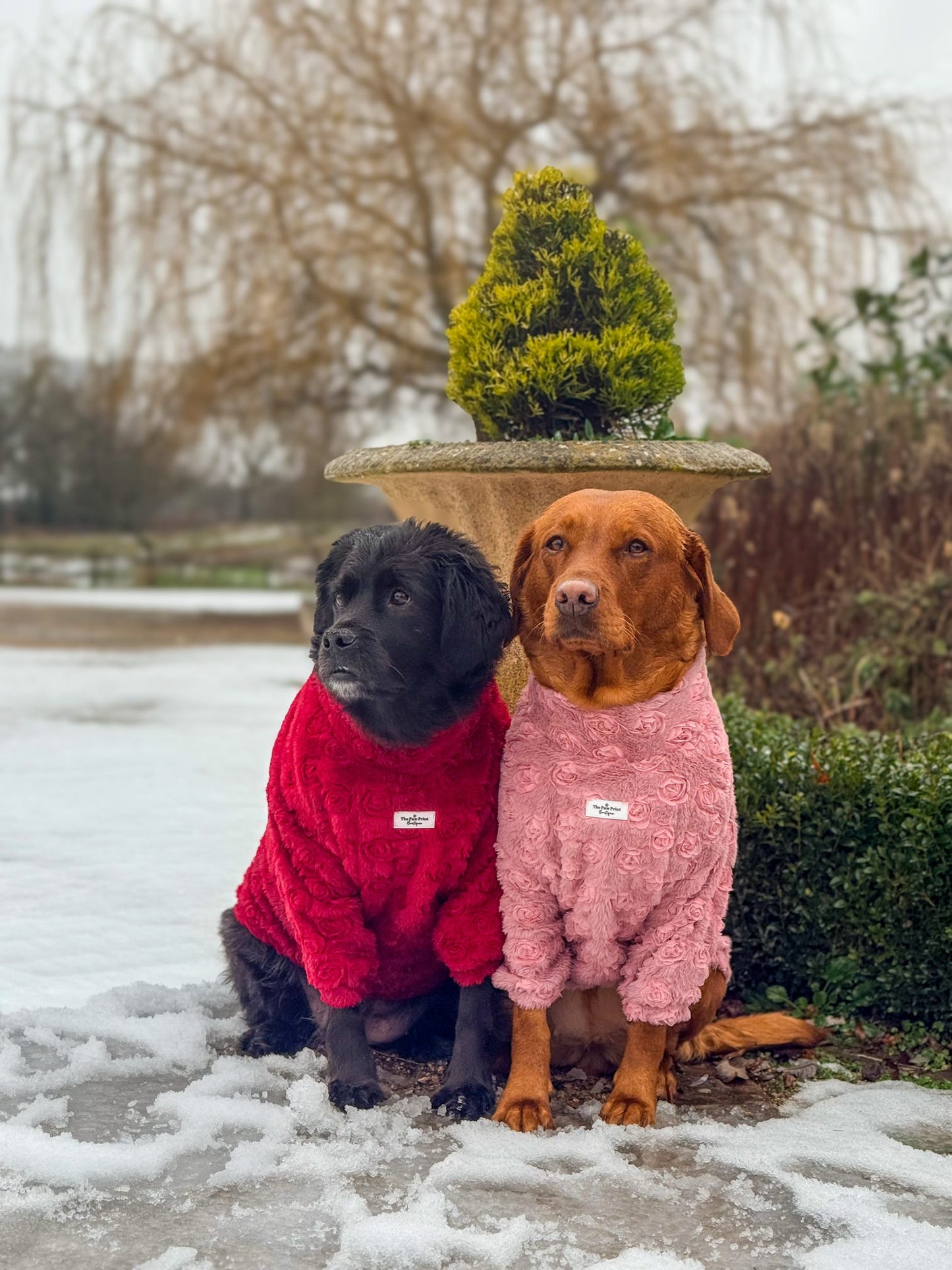 The Roses Fleece - Red