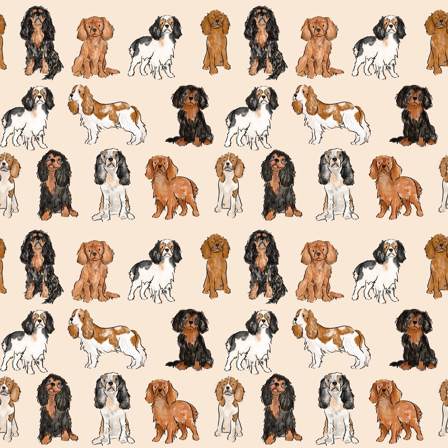 The Cavalier Human Blanket