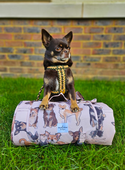 The Chihuahua Travel Mat
