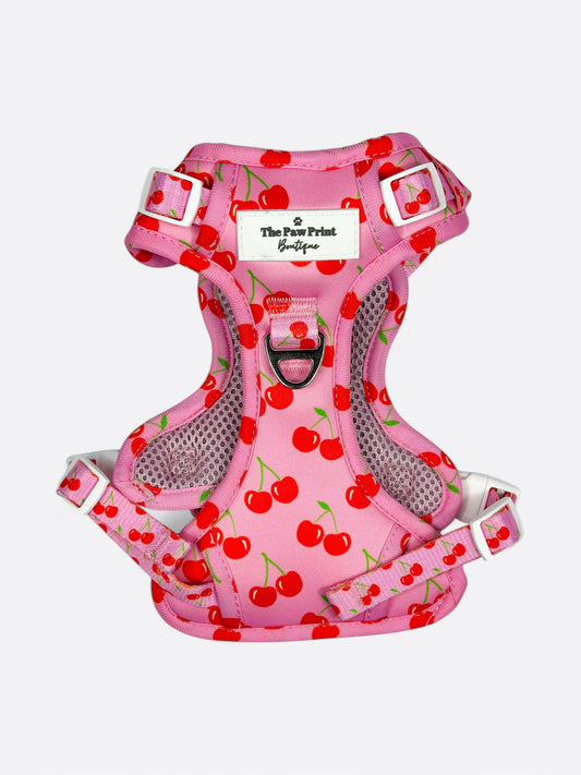 Cherry on Top Adventure Paws Harness
