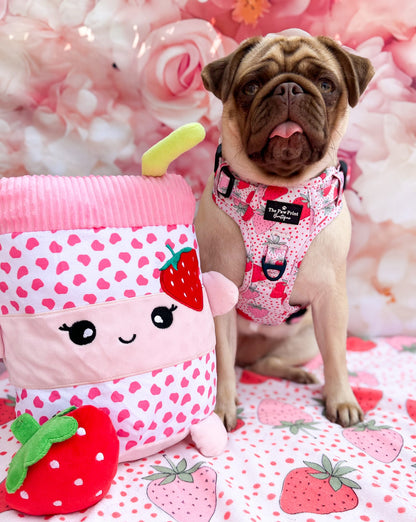 The Sweet Strawberries Adventure Paws Harness