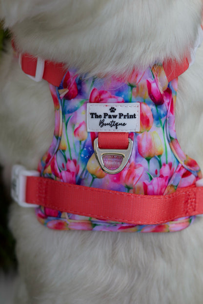 The Tulip Field Adventure Paws Harness